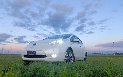 Nissan Leaf I, 2017 год, 1 фотография