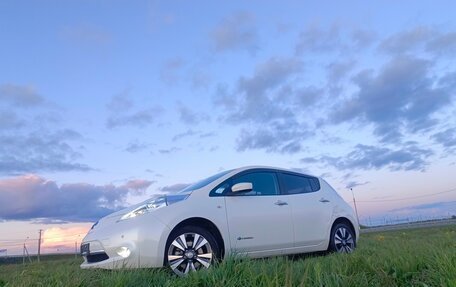 Nissan Leaf I, 2017 год, 4 фотография