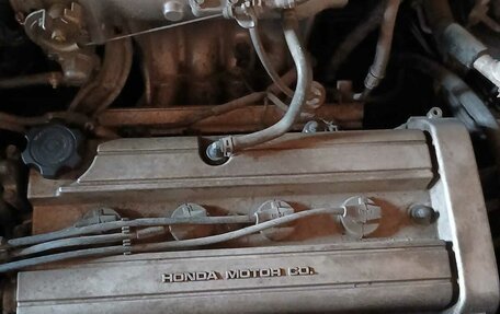 Honda Stepwgn IV, 1999 год, 590 000 рублей, 4 фотография