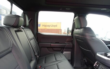 Ford F-150, 2024 год, 14 000 000 рублей, 17 фотография