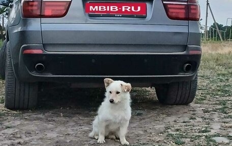 BMW X5, 2009 год, 1 700 000 рублей, 2 фотография