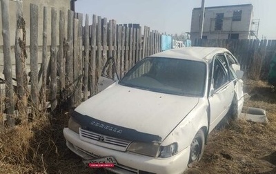 Toyota Corolla, 2000 год, 100 000 рублей, 1 фотография