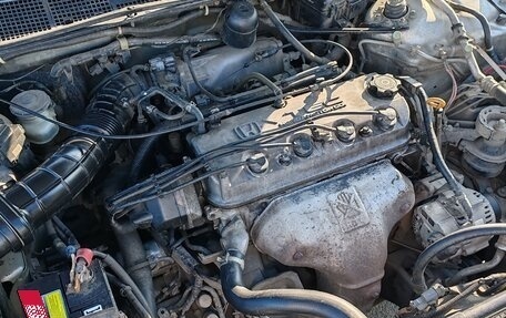 Honda Torneo, 1998 год, 530 000 рублей, 2 фотография