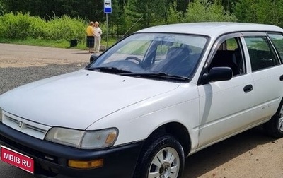 Toyota Corolla, 2001 год, 300 000 рублей, 1 фотография