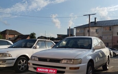 Toyota Corolla, 1995 год, 350 000 рублей, 1 фотография