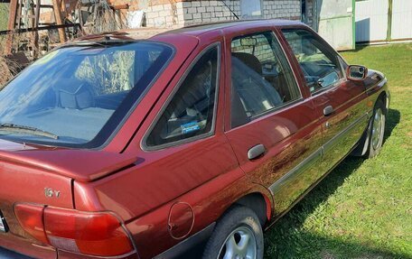 Ford Escort V, 1999 год, 350 000 рублей, 3 фотография