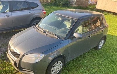 Skoda Fabia II, 2009 год, 315 000 рублей, 1 фотография