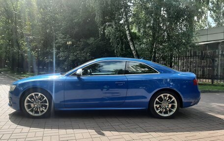 Audi S5, 2009 год, 2 450 000 рублей, 1 фотография