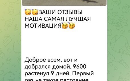 Suzuki Solio II, 2014 год, 1 150 000 рублей, 13 фотография