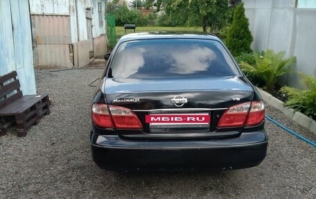 Nissan Maxima VIII, 2003 год, 370 000 рублей, 2 фотография