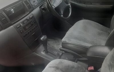 Toyota Corolla, 2003 год, 350 000 рублей, 1 фотография