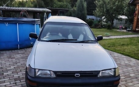 Toyota Corolla, 2001 год, 350 000 рублей, 7 фотография