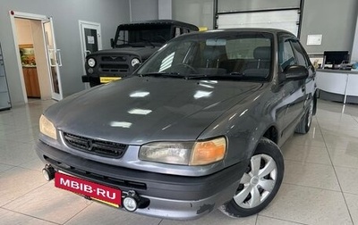 Toyota Corolla, 1996 год, 229 000 рублей, 1 фотография
