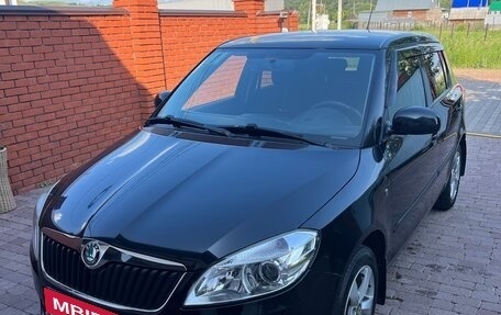Skoda Fabia II, 2012 год, 890 000 рублей, 17 фотография