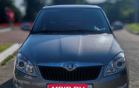 Skoda Fabia II, 2013 год, 1 000 000 рублей, 2 фотография