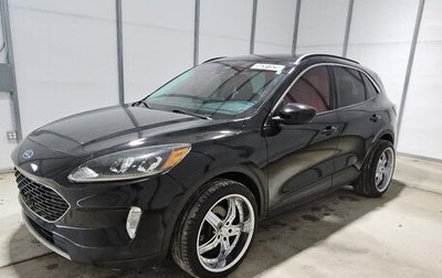 Ford Escape, 2023 год, 1 810 000 рублей, 1 фотография