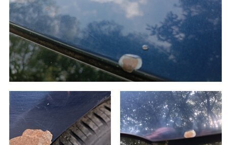 Ford Focus III, 2012 год, 765 000 рублей, 15 фотография