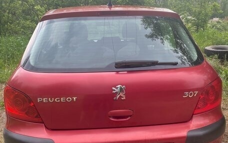 Peugeot 307 I, 2005 год, 380 000 рублей, 3 фотография