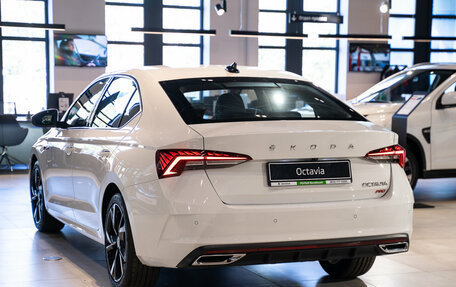 Skoda Octavia IV, 2024 год, 3 825 000 рублей, 7 фотография