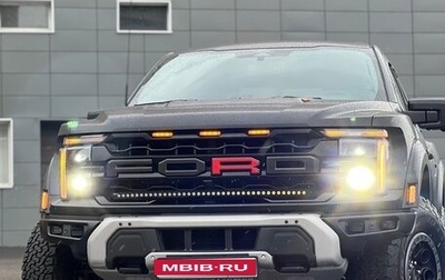 Ford F-150, 2024 год, 16 500 000 рублей, 1 фотография