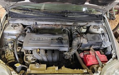 Toyota Corolla, 2003 год, 560 000 рублей, 1 фотография