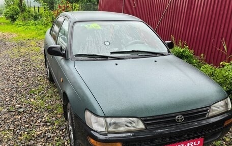 Toyota Corolla, 1996 год, 170 000 рублей, 1 фотография