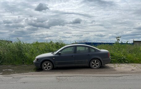 Volkswagen Passat B5+ рестайлинг, 1998 год, 100 000 рублей, 2 фотография