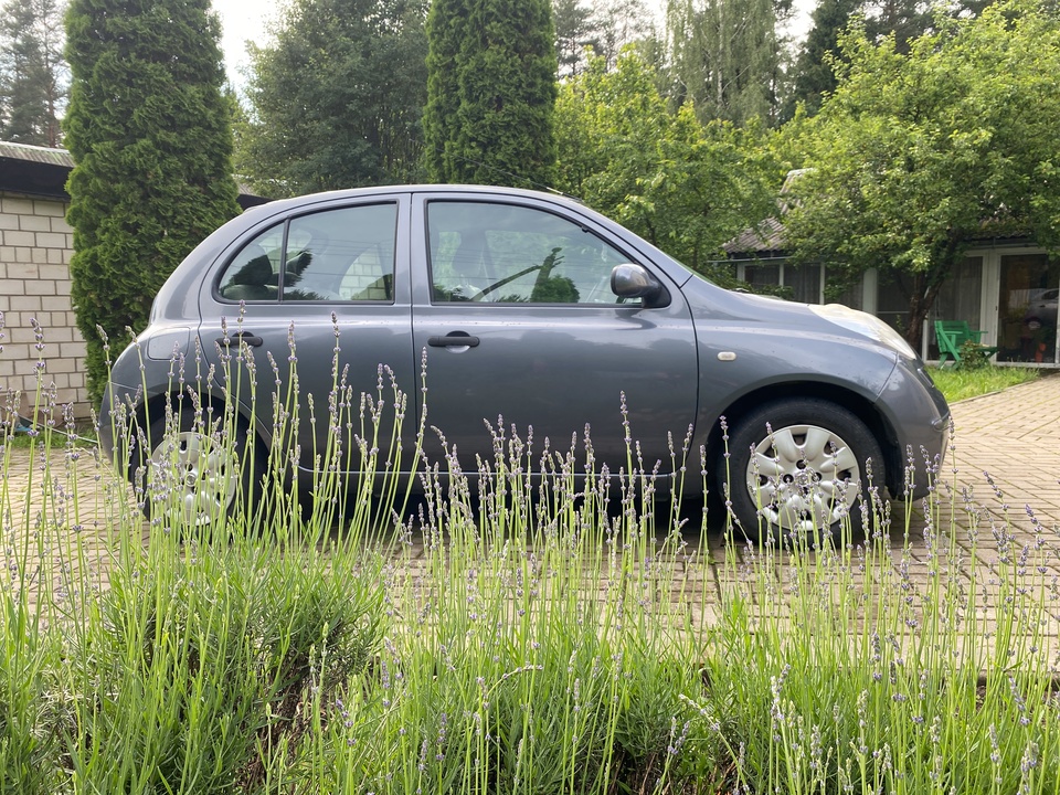 Nissan Micra III, 2007 год, 600 000 рублей, 3 фотография