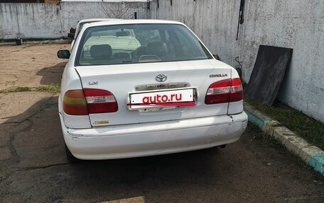 Toyota Corolla, 1999 год, 230 000 рублей, 3 фотография