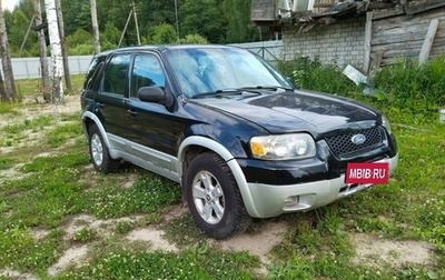 Ford Escape II, 2004 год, 430 000 рублей, 1 фотография