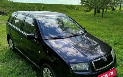 Skoda Fabia I, 2007 год, 300 000 рублей, 1 фотография