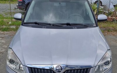 Skoda Fabia II, 2013 год, 1 050 000 рублей, 1 фотография