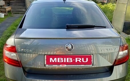 Skoda Octavia, 2019 год, 2 700 000 рублей, 3 фотография