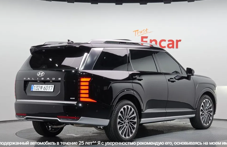 Hyundai Palisade I, 2024 год, 7 500 000 рублей, 2 фотография