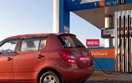 Skoda Fabia II, 2009 год, 450 000 рублей, 13 фотография