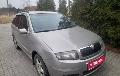 Skoda Fabia I, 2007 год, 500 000 рублей, 1 фотография
