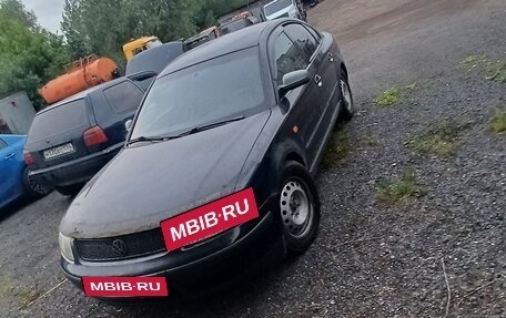 Volkswagen Passat B5+ рестайлинг, 1998 год, 160 000 рублей, 4 фотография