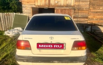 Toyota Corolla, 1995 год, 300 000 рублей, 1 фотография