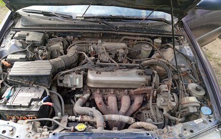 Honda Accord VII рестайлинг, 1996 год, 163 000 рублей, 6 фотография