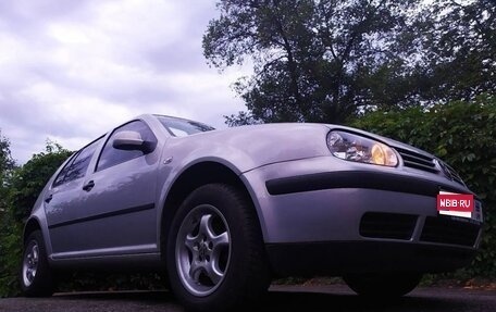 Volkswagen Golf IV, 2002 год, 550 000 рублей, 1 фотография