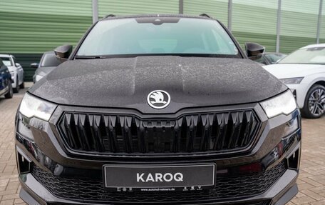 Skoda Karoq I, 2025 год, 4 599 000 рублей, 6 фотография