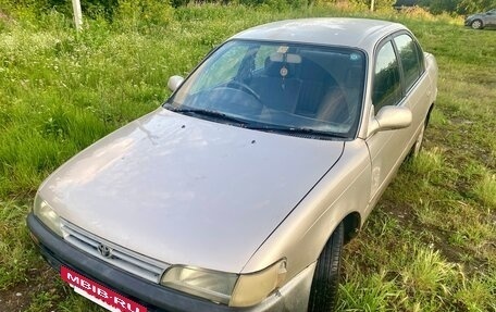 Toyota Corolla, 1993 год, 185 000 рублей, 2 фотография