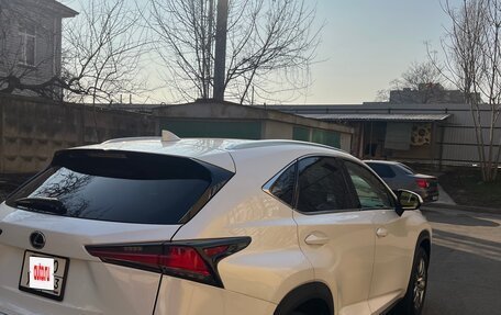 Lexus NX I, 2020 год, 3 850 000 рублей, 4 фотография