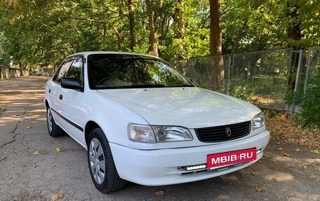 Toyota Corolla, 1999 год, 415 000 рублей, 1 фотография