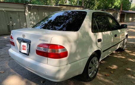 Toyota Corolla, 1999 год, 415 000 рублей, 9 фотография