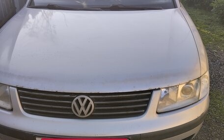 Volkswagen Passat B5+ рестайлинг, 1998 год, 300 000 рублей, 5 фотография