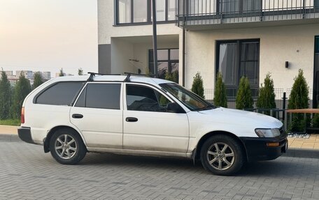 Toyota Corolla, 2000 год, 250 000 рублей, 2 фотография