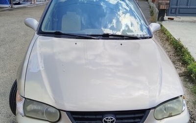 Toyota Corolla, 2001 год, 480 000 рублей, 1 фотография