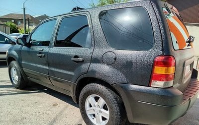 Ford Escape II, 2004 год, 530 000 рублей, 1 фотография