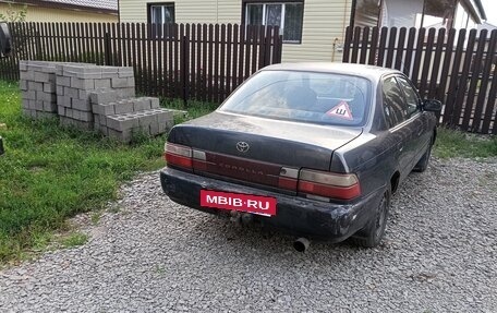 Toyota Corolla, 1993 год, 350 000 рублей, 2 фотография